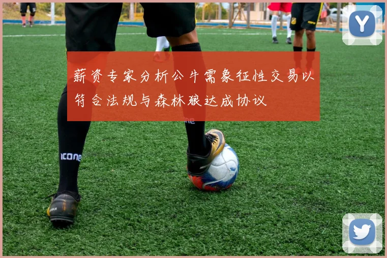 薪资专家分析公牛需象征性交易以符合法规与森林狼达成协议